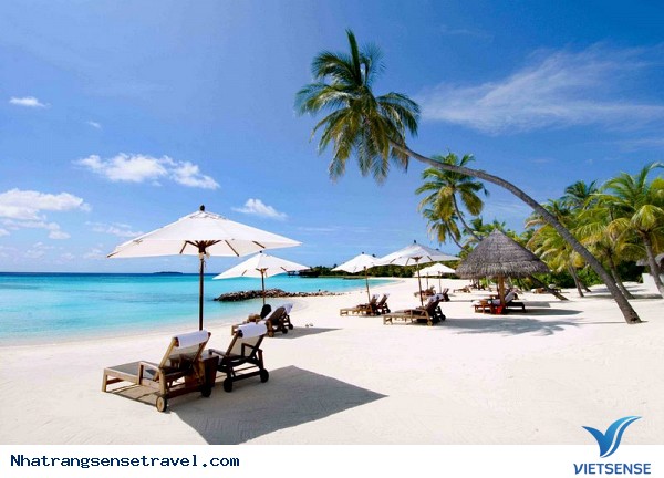 Khôi phục thị trường khách Nhật tại Nha Trang - Ảnh 1