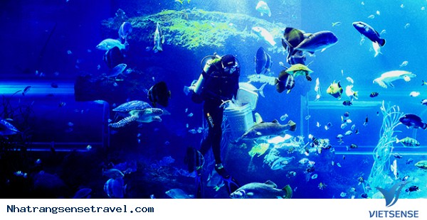 Nha Trang là điểm thăm quan hè hấp dẫn nhất ở châu Á - Ảnh 6