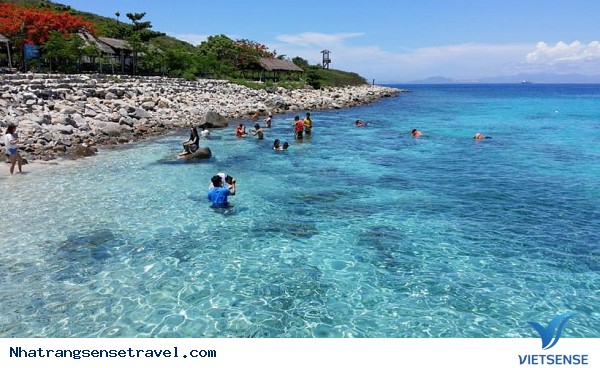 Trải nghiệm một ngày tại khu thăm quan Nha Trang - Ảnh 1 Trải nghiệm một ngày tại khu thăm quan Nha Trang - Ảnh 1