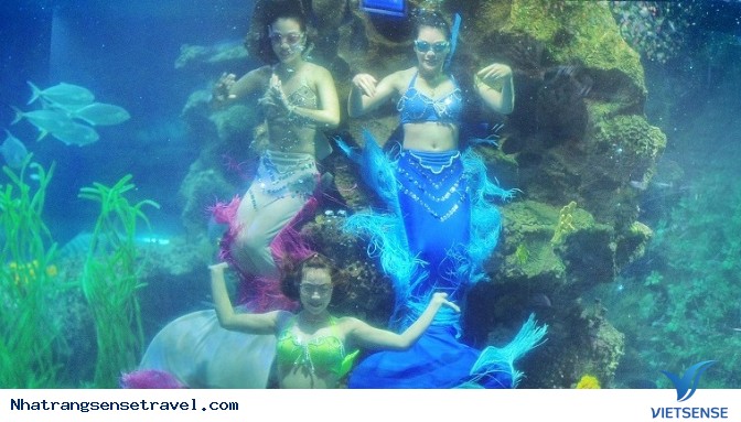 Thủy cung Vinpearl Land Nha Trang - Ảnh 3