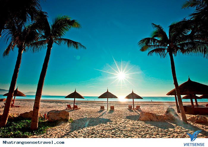 Có chuyến đi thăm quan Nha Trang nào vừa rẻ vừa đẹp không? - Ảnh 4 Có chuyến đi thăm quan Nha Trang nào vừa rẻ vừa đẹp không? - Ảnh 4