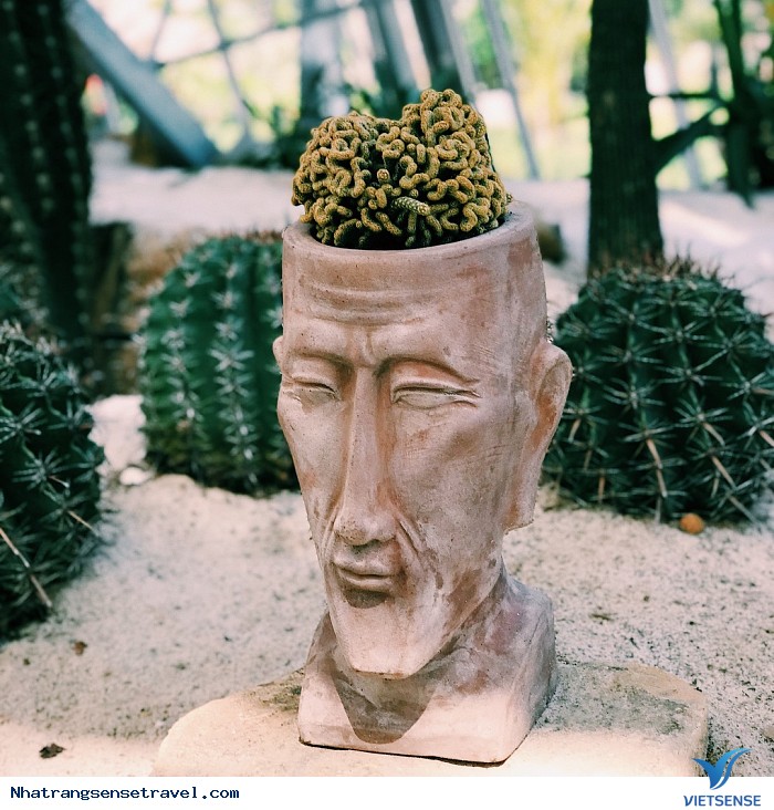 Công viên Nhật Bản phiên bản Nha Trang làm chao đảo giới trẻ - Ảnh 10