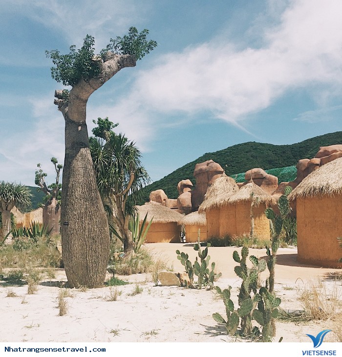 Công viên Nhật Bản phiên bản Nha Trang làm chao đảo giới trẻ - Ảnh 12