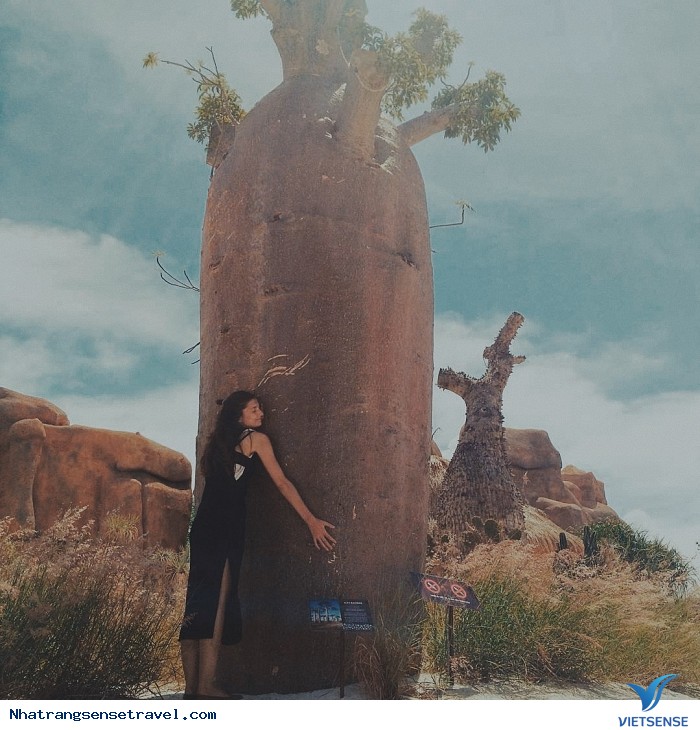 Công viên Nhật Bản phiên bản Nha Trang làm chao đảo giới trẻ - Ảnh 11