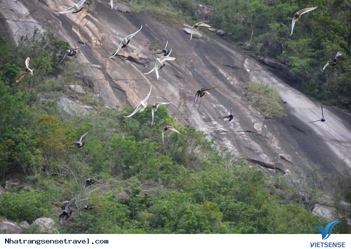 Xem biểu diễn xiếc chim - Ảnh 4