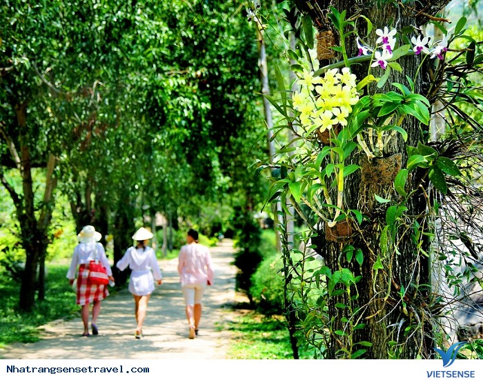 Con đường hoa lan