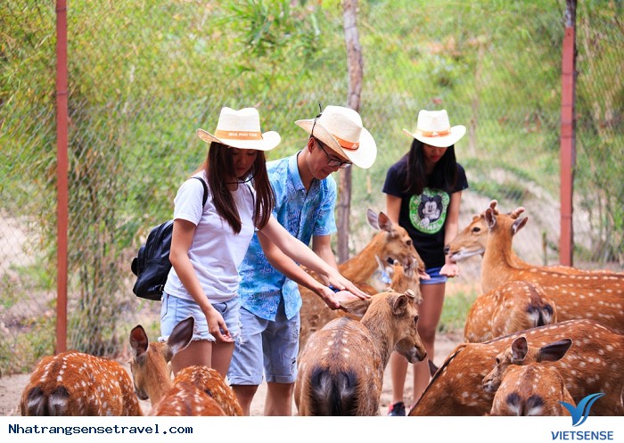 Khu vườn hươu sao, đà điểu