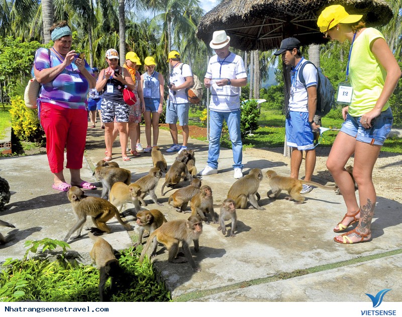 7 hòn đảo đẹp nhất Nha Trang cho ngày 30 - 4 - Ảnh 4