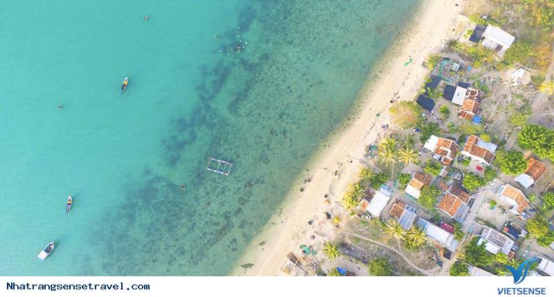 Đảo điệp Sơn - Ảnh 4