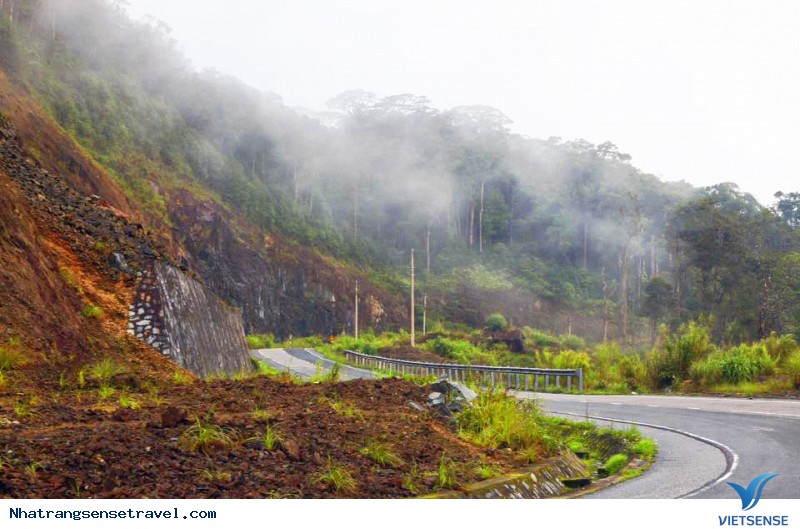 Một vài thông tin khác - Ảnh 2