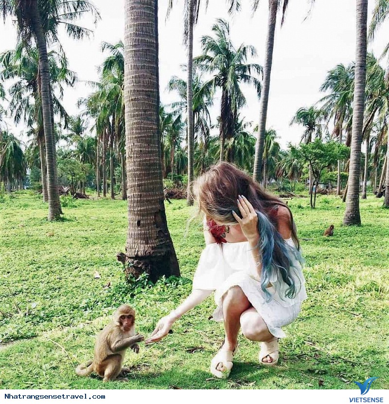 Đảo Khỉ, đảo Hòn Lao