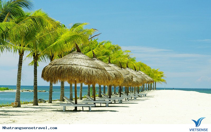 Giải đáp 4 câu hỏi thường gặp khi đến Nha Trang - Ảnh 1 Giải đáp 4 câu hỏi thường gặp khi đến Nha Trang - Ảnh 1