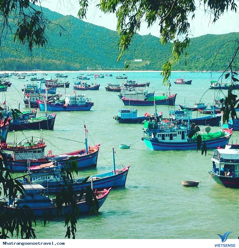 Khám Phá Những Làng Chài Bình Yên Khi Đến Với Nha Trang - Ảnh 6 Khám Phá Những Làng Chài Bình Yên Khi Đến Với Nha Trang - Ảnh 6