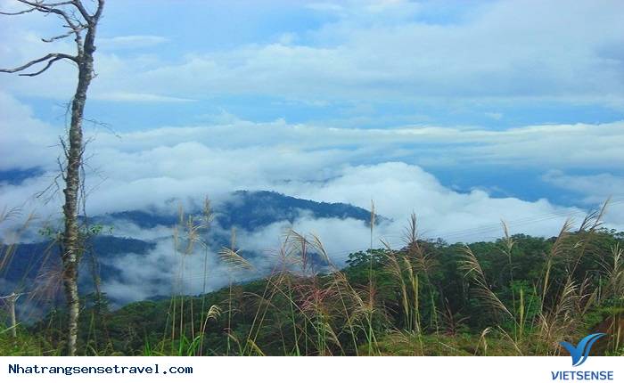 Những Điểm Đến Thú Vị Ít Người Biết Ở Nha Trang - Ảnh 5