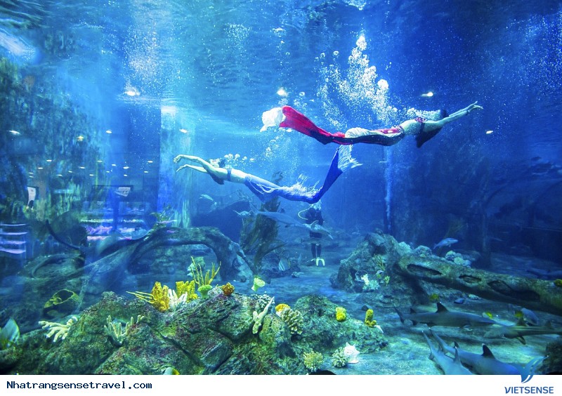 Vinpearlland Nha Trang - Ảnh 4