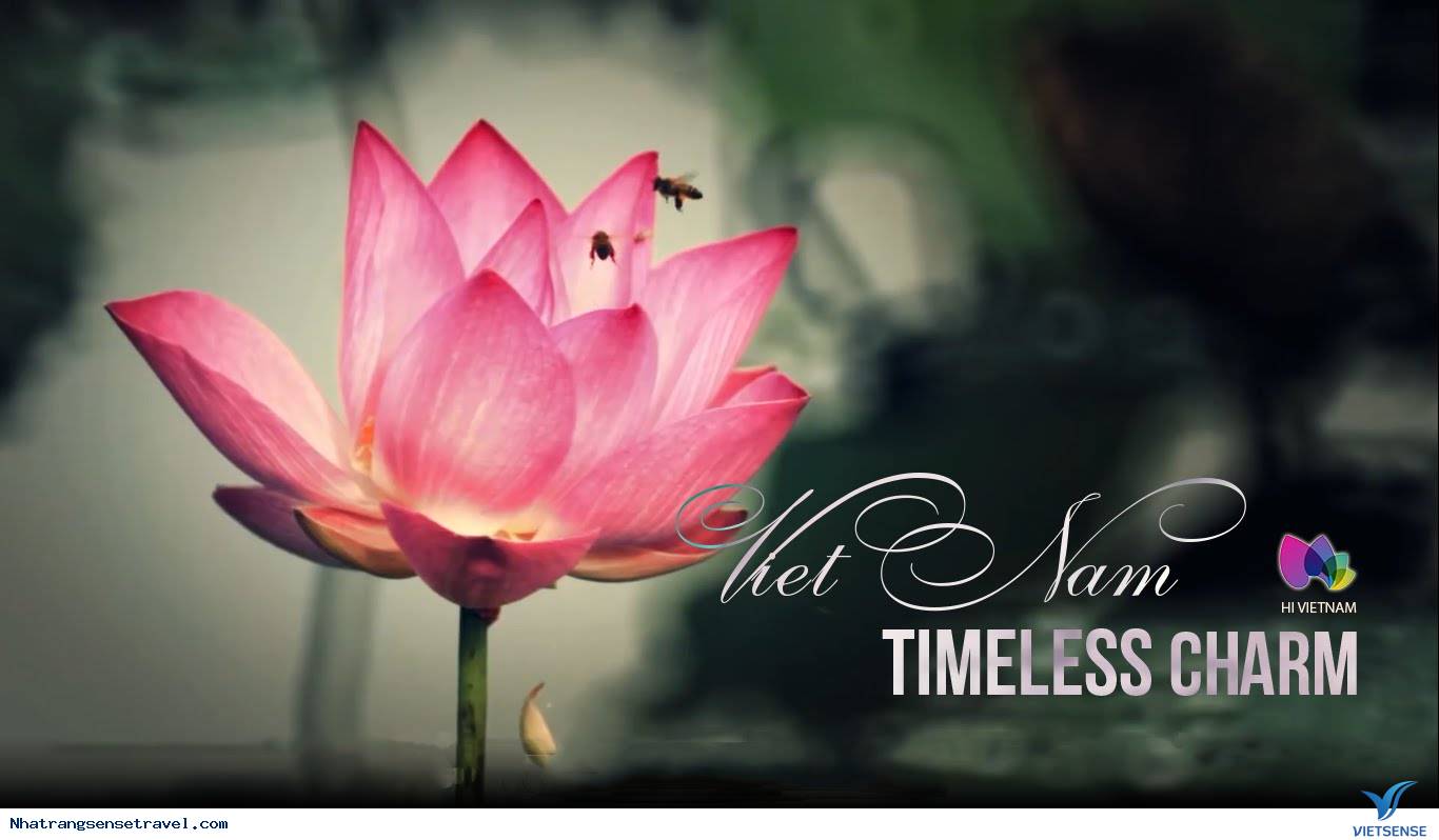 10 Hành Động Đẹp Trong Ứng Xử Khi đi thăm quan - Ảnh 1