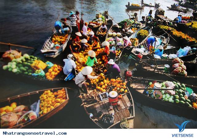 Về thăm miền Tây mùa nước nổi