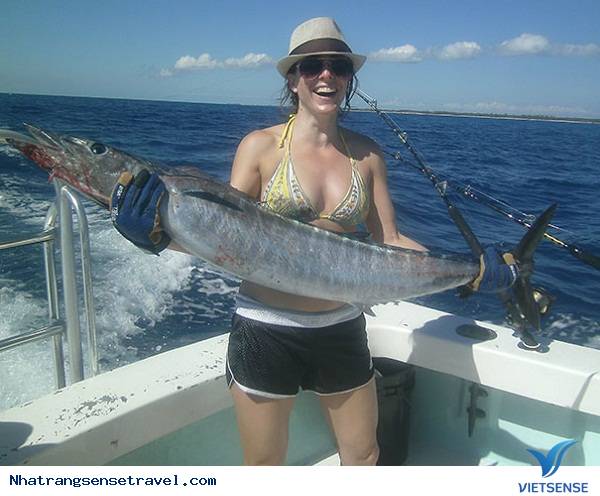 Câu cá biển Câu cá biển