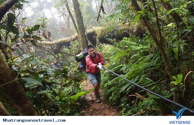 Leo núi và trekking Leo núi và trekking