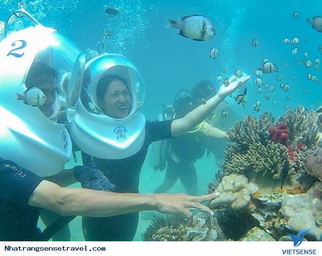 10 Trải Nghiệm Thú Vị Trong chuyến đi Nha Trang - Ảnh 1