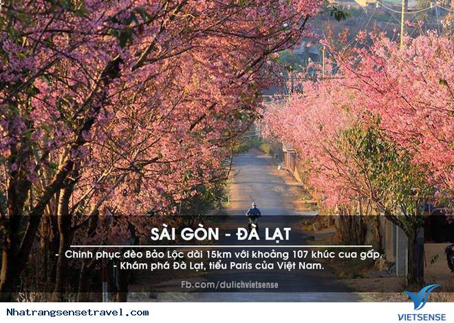 16 Cung Đường Phượt Được Yêu Thích Nhất Tại Việt Nam - Ảnh 12