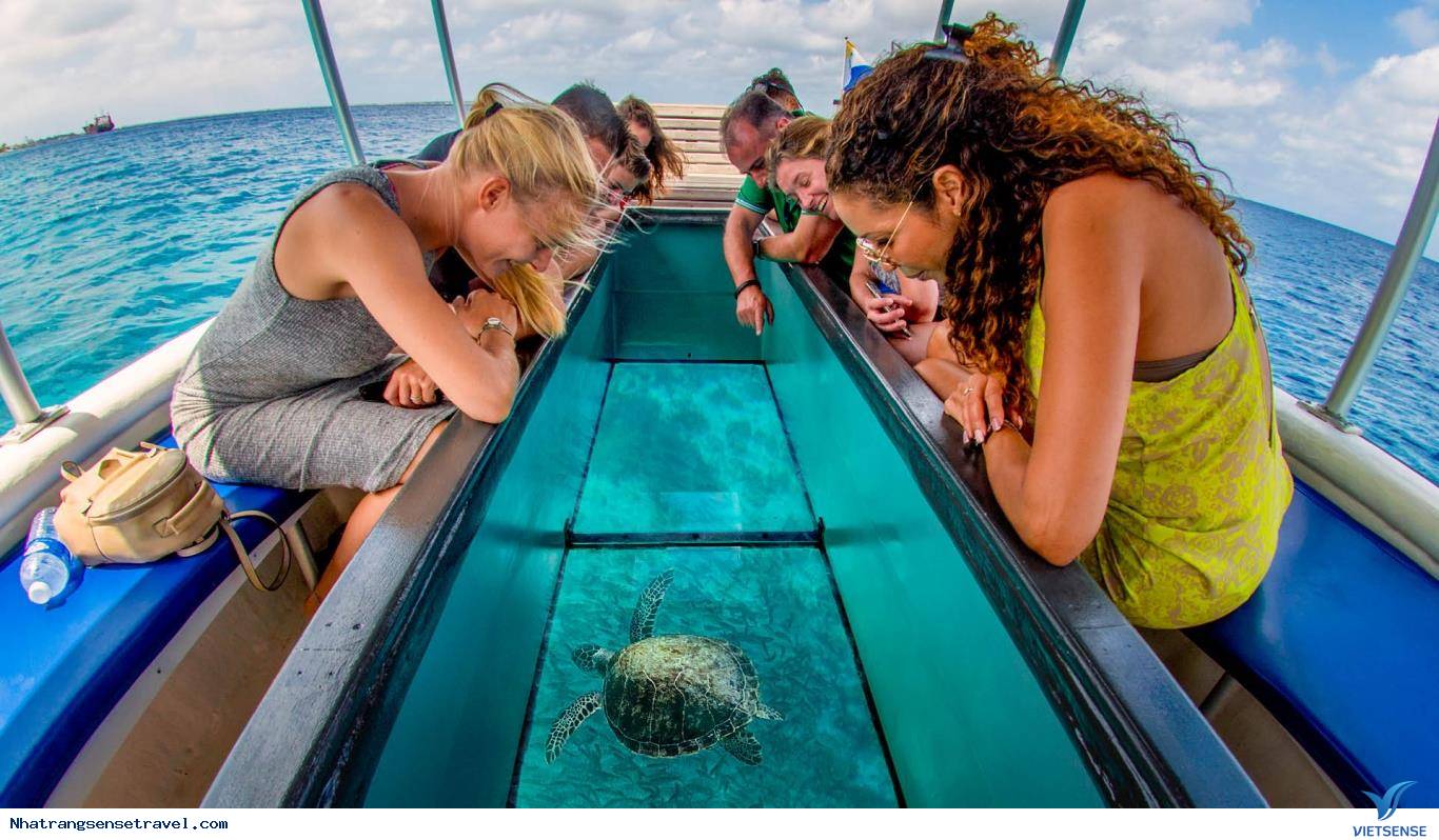 2. Đi tàu đáy kính khám phá đại dương xanh