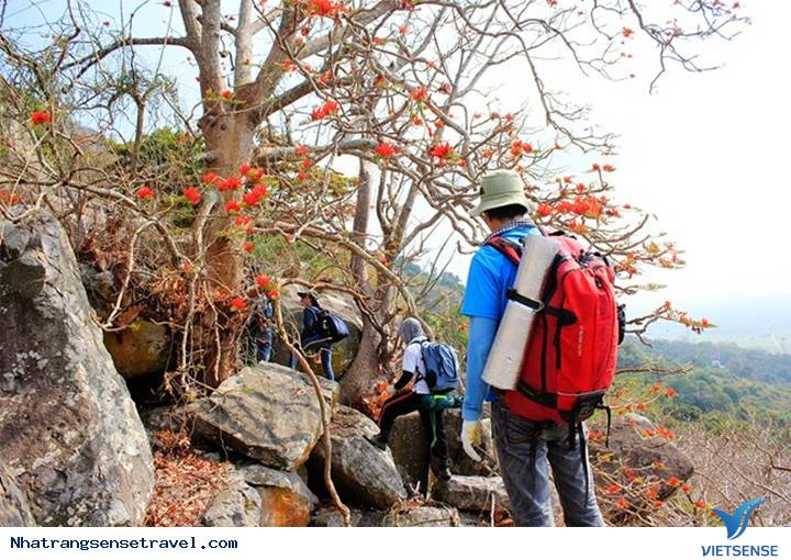 3 Việc Cần Làm Trước Mỗi Chuyến Trekking An Toàn - Ảnh 2