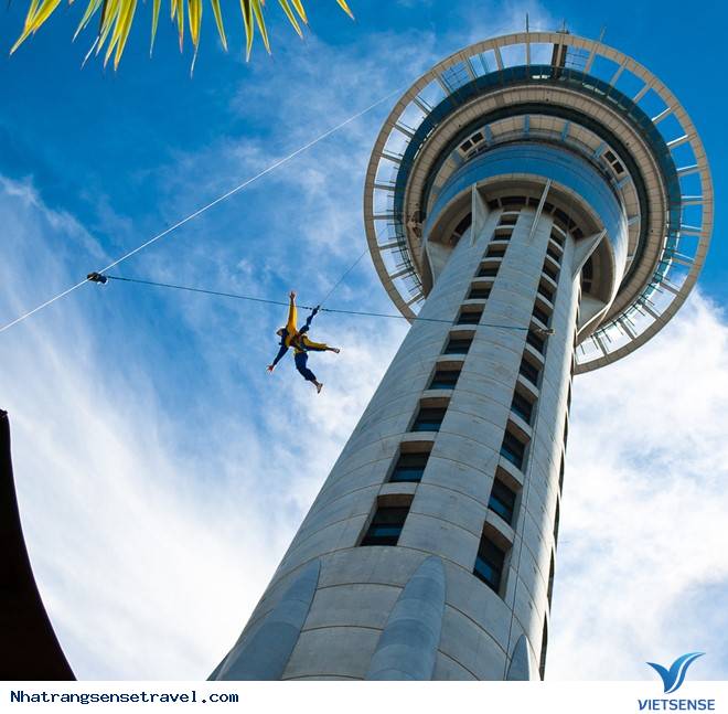 Tận hưởng tuổi trẻ chỉ đến một lần