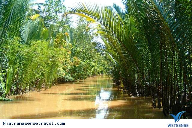 5 Điểm Đến Thú Vị Phía Nam Cho Những Ngày Tết Dương Lịch - Ảnh 6