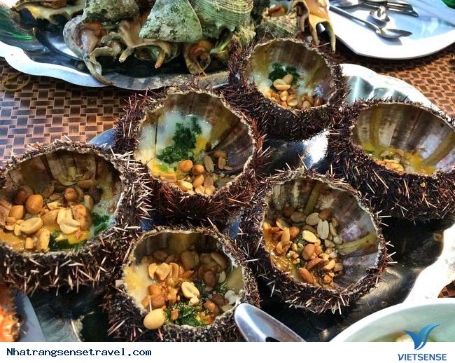 chương trình Đảo Bình Hưng - Ảnh 4 chương trình Đảo Bình Hưng - Ảnh 4