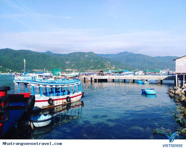 chương trình Đảo Bình Hưng - Ảnh 1 chương trình Đảo Bình Hưng - Ảnh 1