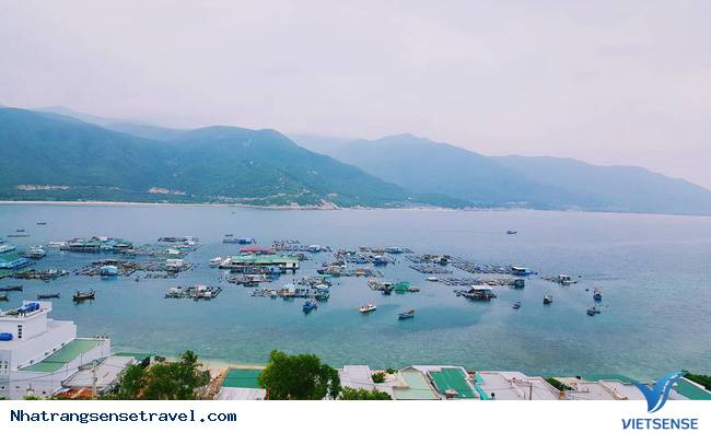 chương trình Đảo Bình Hưng - Ảnh 2 chương trình Đảo Bình Hưng - Ảnh 2