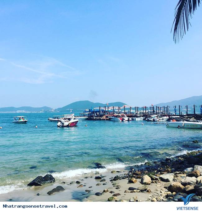 chương trình đi bộ dưới đáy biển - Ảnh 3 chương trình đi bộ dưới đáy biển - Ảnh 3