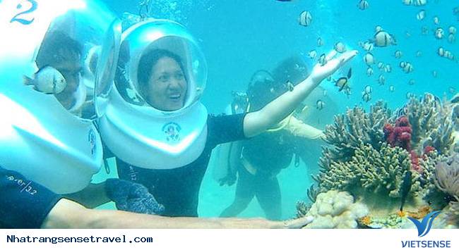 chương trình đi bộ dưới đáy biển - Ảnh 2 chương trình đi bộ dưới đáy biển - Ảnh 2