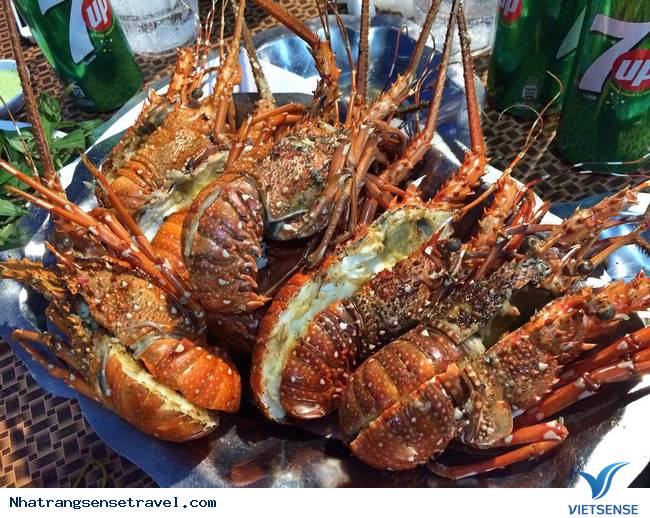 chương trình Đảo Bình Hưng - Ảnh 5 chương trình Đảo Bình Hưng - Ảnh 5