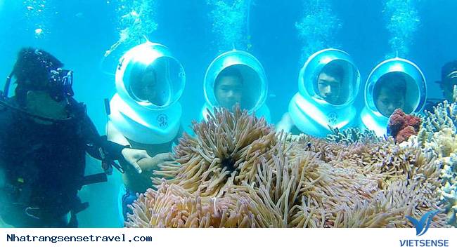 chương trình đi bộ dưới đáy biển - Ảnh 1 chương trình đi bộ dưới đáy biển - Ảnh 1