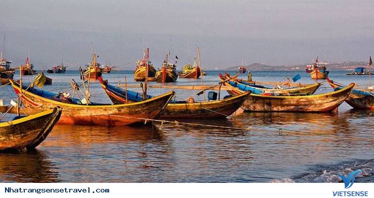 Làng Chài – Hòa vào cuộc sống dân chài và thưởng thức hải sản tươi ngon