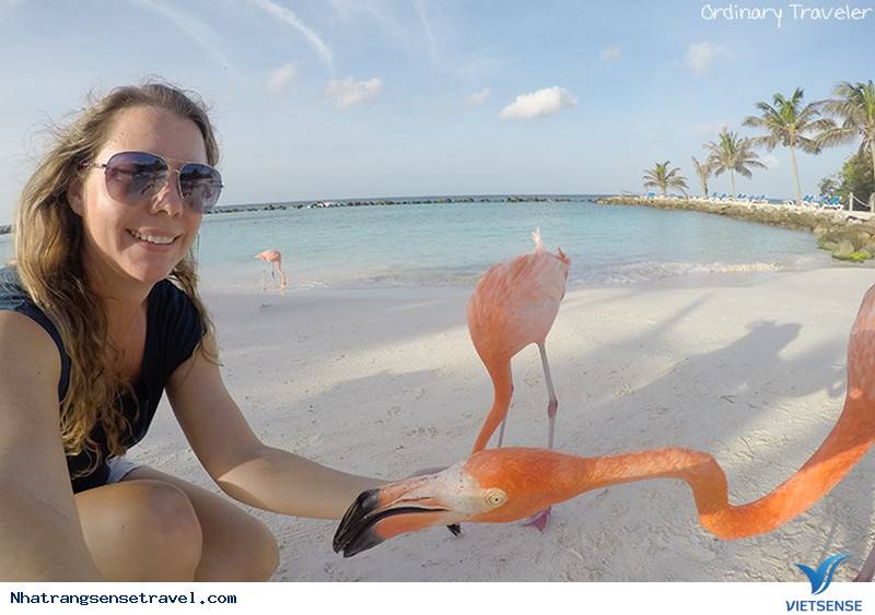 8 Lý Do Vì Sao Nên Xách Ba Lô Lên Ngay Khi Còn Tuổi 20 - Ảnh 4