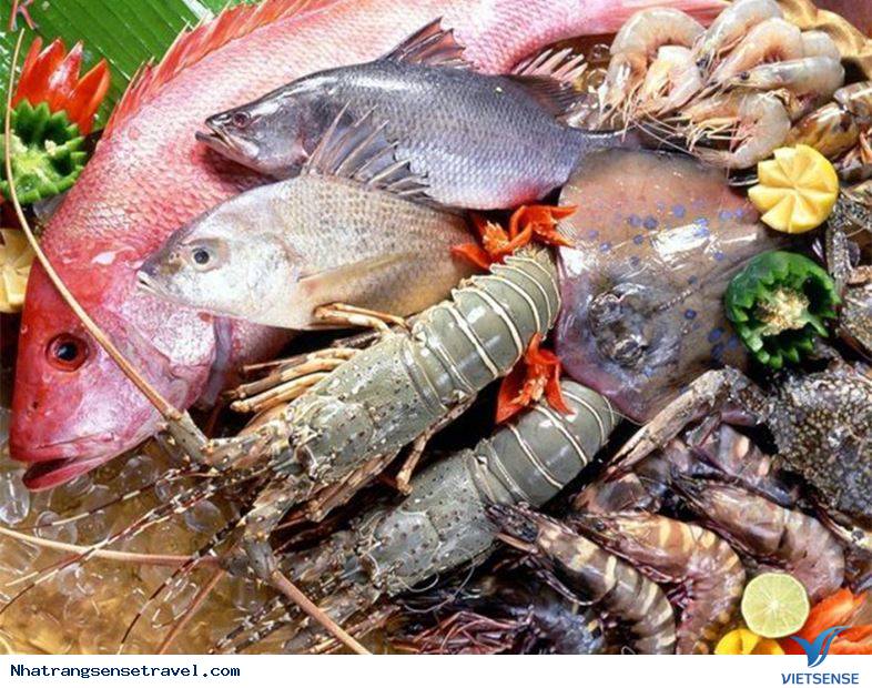 Ăn uống ở bãi Dài Nha Trang? Ăn uống ở bãi Dài Nha Trang?