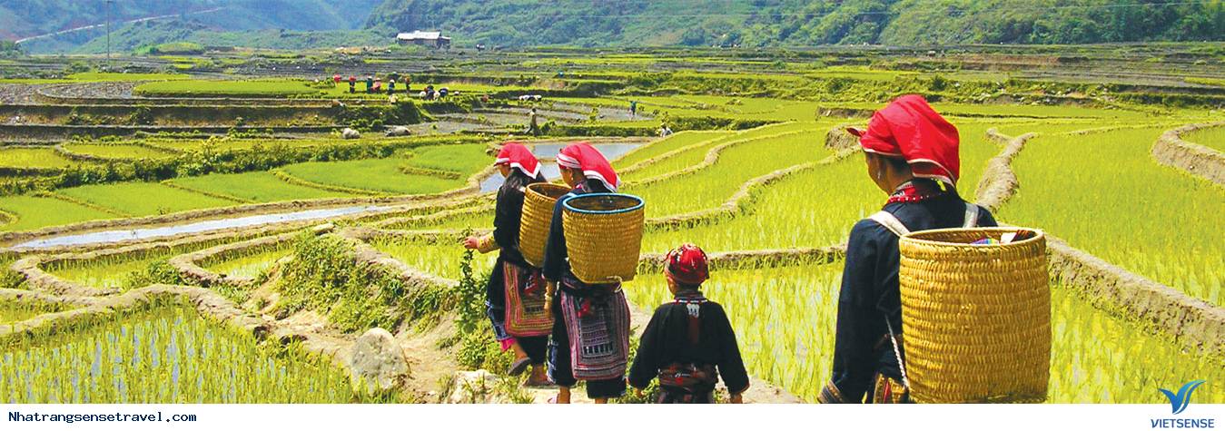 Background Blogspot - Ảnh 2