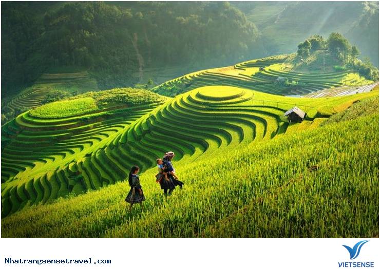 Background Blogspot - Ảnh 19