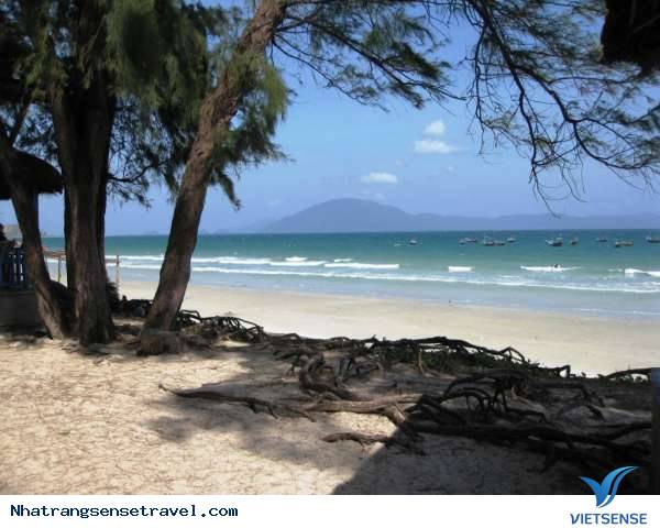 Bãi Dương Nha Trang - Ảnh 2