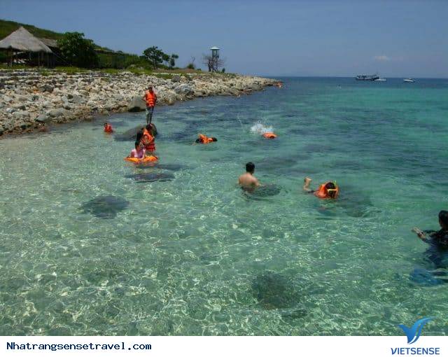 Bãi Tranh Nha Trang ở đâu?