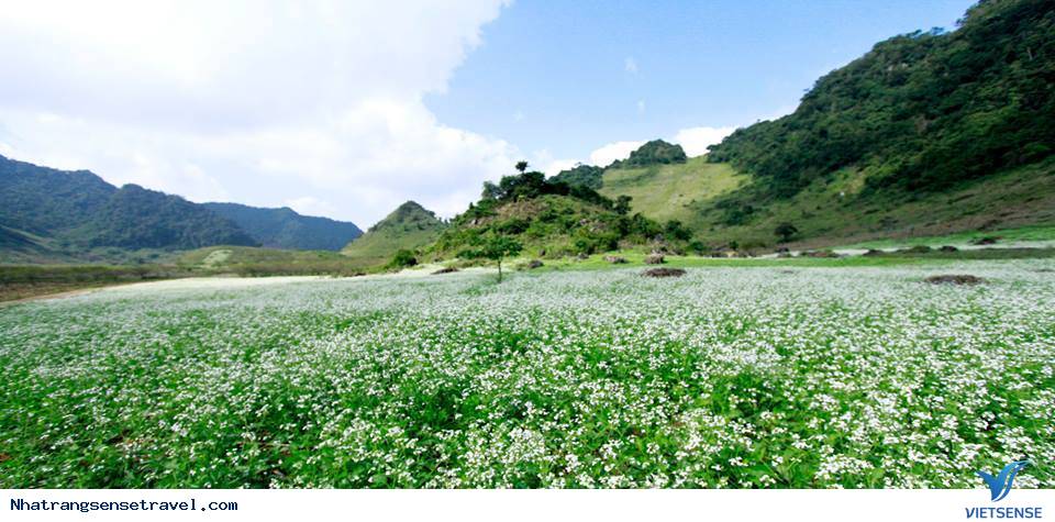 Bạn Đã Lên Kế Hoạch thăm quan Tết Âm Lịch 2025 Chưa ? - Ảnh 1