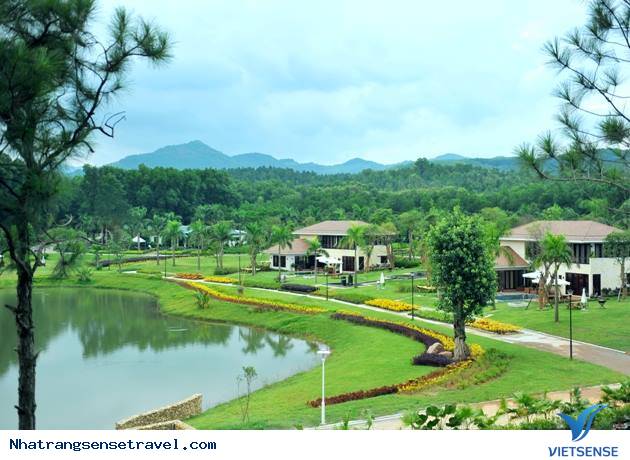 Biển Quy Nhơn, Bình Định - Ảnh 1