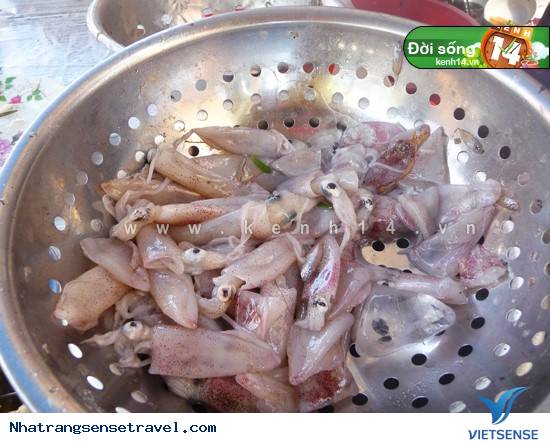 Bánh Xèo Mực - Ảnh 11 Bánh Xèo Mực - Ảnh 11