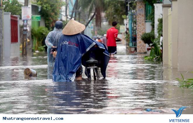Bão số 8 suy yếu, Nha Trang chìm trong biển nước - Ảnh 2 Bão số 8 suy yếu, Nha Trang chìm trong biển nước - Ảnh 2