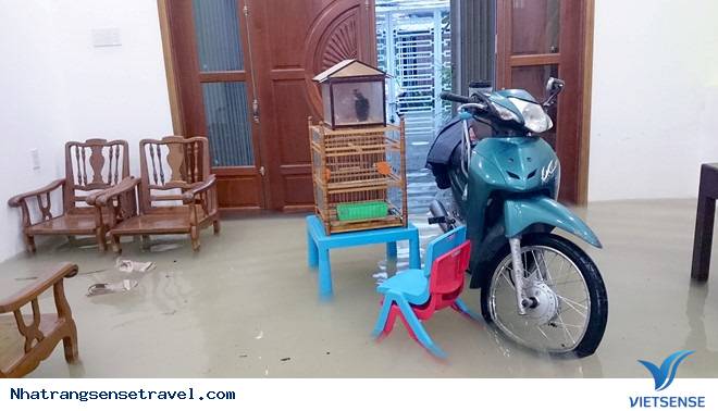 Bão số 8 suy yếu, Nha Trang chìm trong biển nước - Ảnh 5 Bão số 8 suy yếu, Nha Trang chìm trong biển nước - Ảnh 5