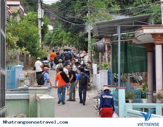 Bình Ba Thanh Bình Hòa Cùng Nhịp Sống Tấp Nập - Ảnh 5