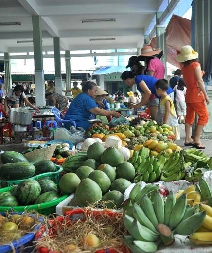 Bình Ba Thanh Bình Hòa Cùng Nhịp Sống Tấp Nập - Ảnh 6